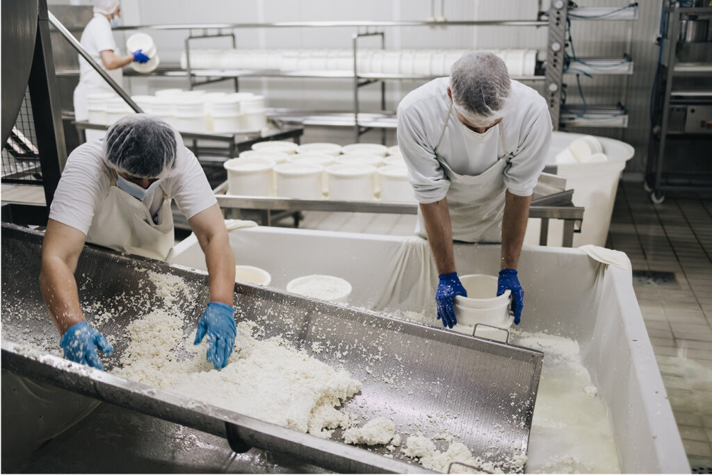 Medewerkers gekleed in witte werkkleding werken in de kaasproductie-omgeving