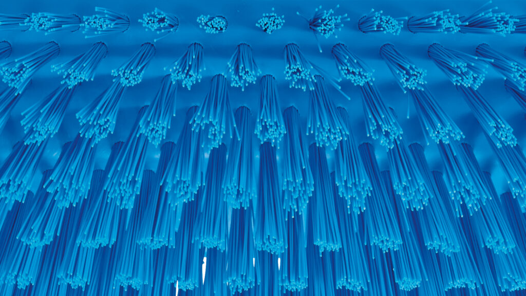 Close-up of blue bristles on a hygienic brush.
