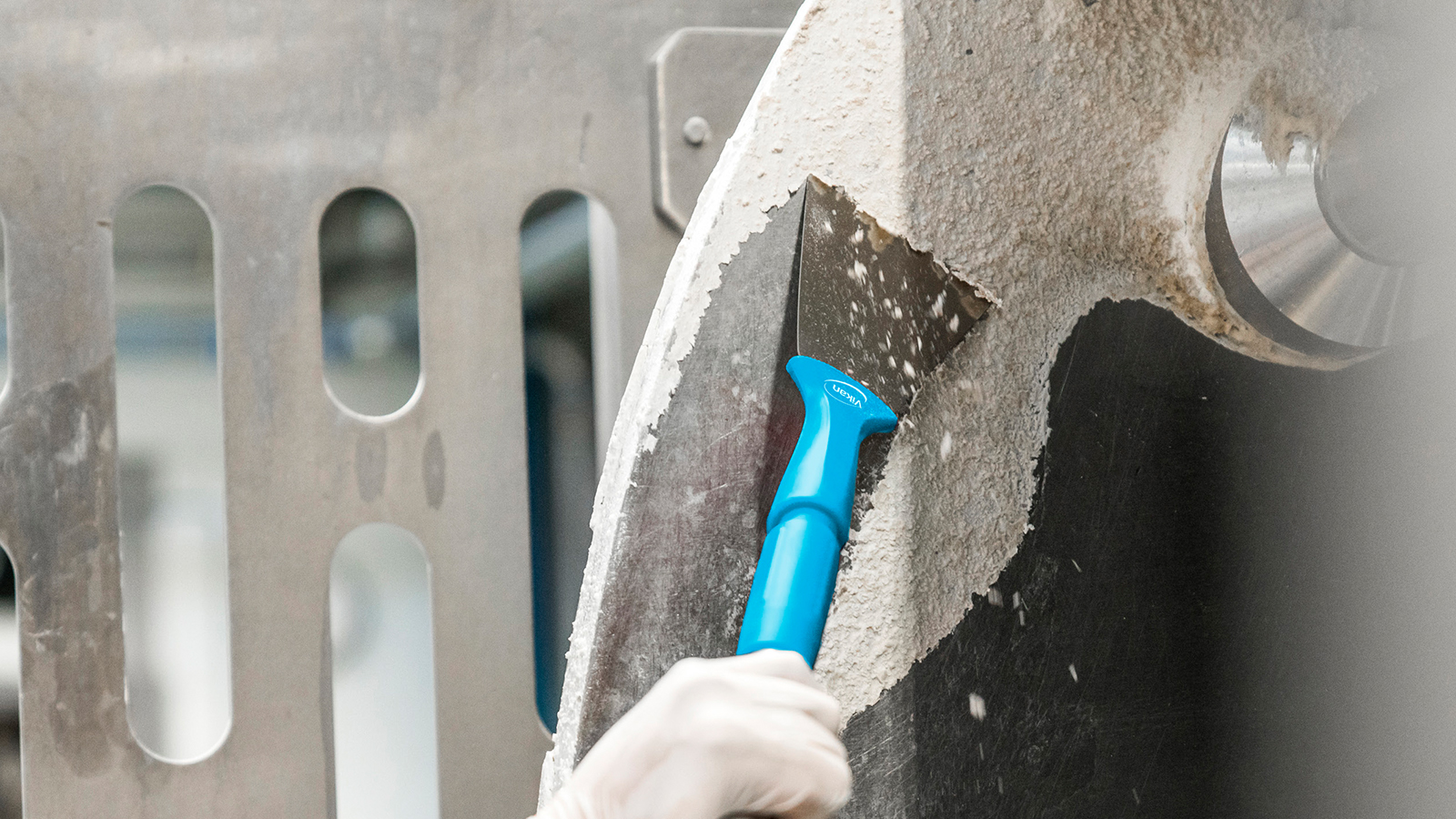 Stainless steel hand scraper with a blue handle