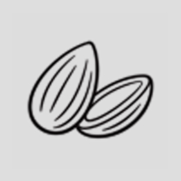 Icon of almonds