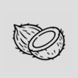 Icon of a coconut