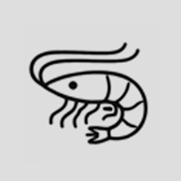 Icon of a shrimp