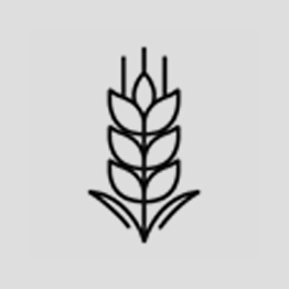 Icon of a grain ear representing gluten