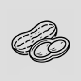 Icon of a peanut and opened peanut