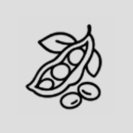 Icon of soybeans in a pod