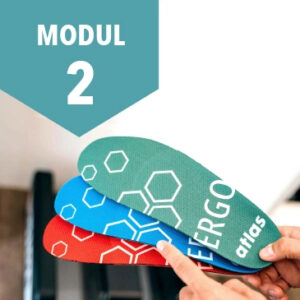 Three ergonomic insoles in different colours held during a fitting assessment, labelled "MODUL 2"